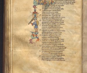 CNMD0000012534_0193_Carta_87v